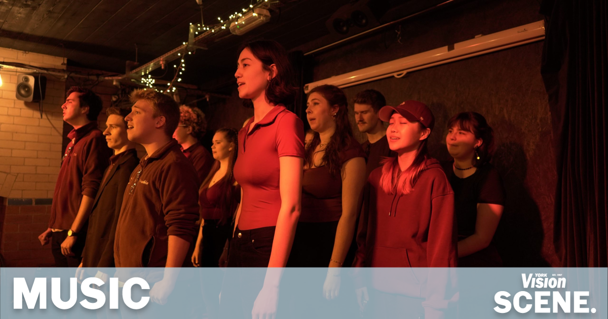 Harmonious Grooves: A Night with Vox at Micklegate Social - Vimarsana News