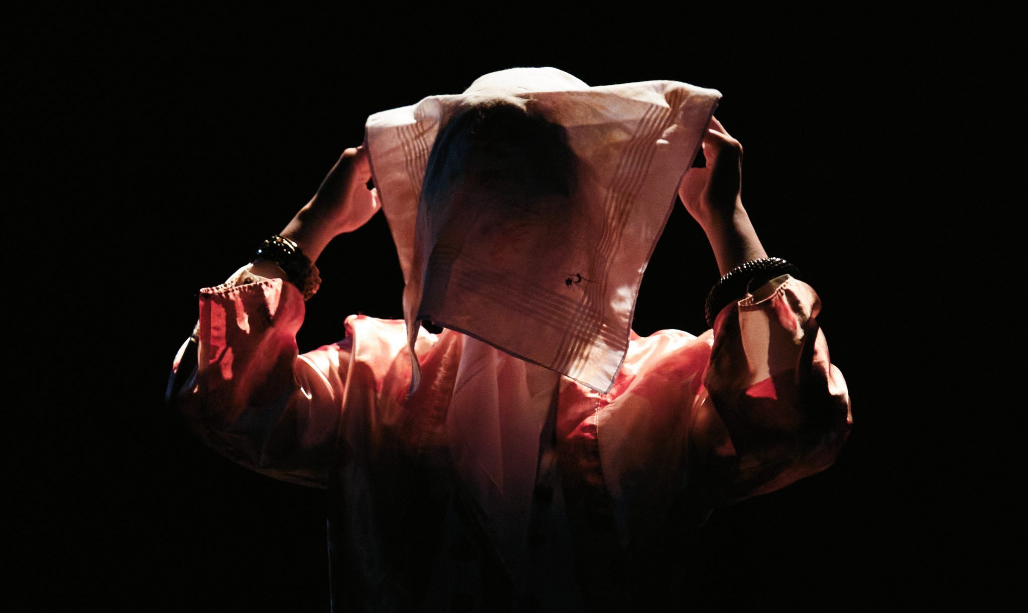 Hamm wheelchair reveal